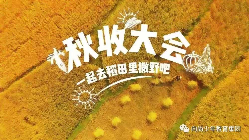 【班级定制】小农夫 大丰收